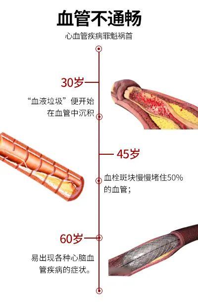 中医心衰合剂_慢性心衰中医治疗原则_郭维琴 心衰 中医