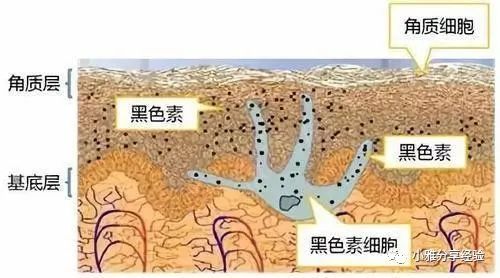 中医鼻毛变白的原因_鼻毛长的快是什么原因_鼻毛长出来是什么原因