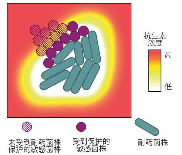 鼻毛太长是什么原因_鼻毛少是什么原因_中医鼻毛变白的原因