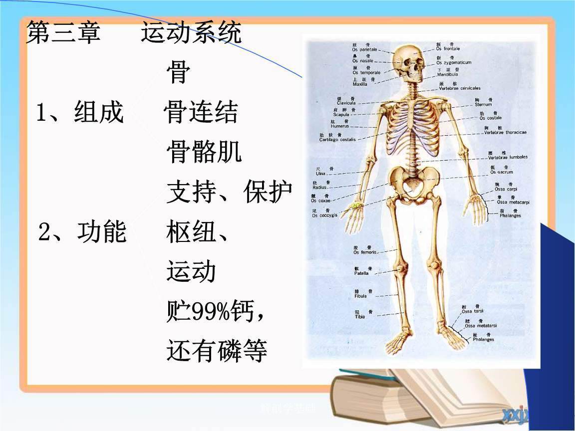 中医治疗焦虑症方子_中医治疗脸部皮肤过敏的方子_中医中要方子股骨头