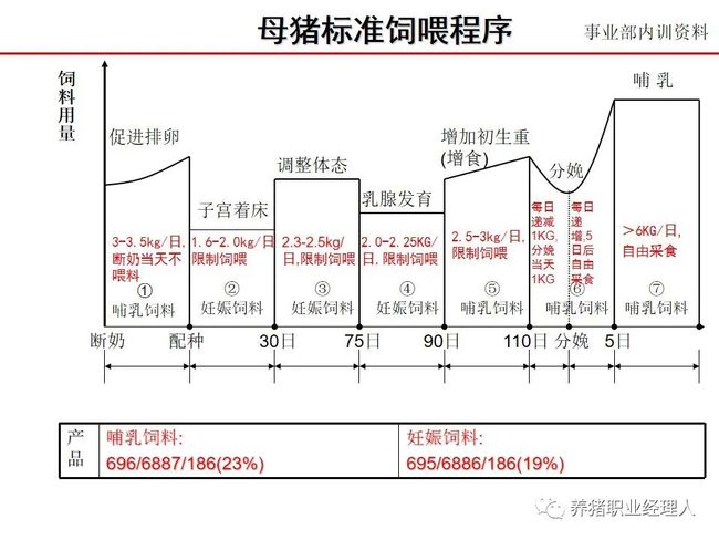 科学养猪书_新技术科学养猪_科学养猪 图片