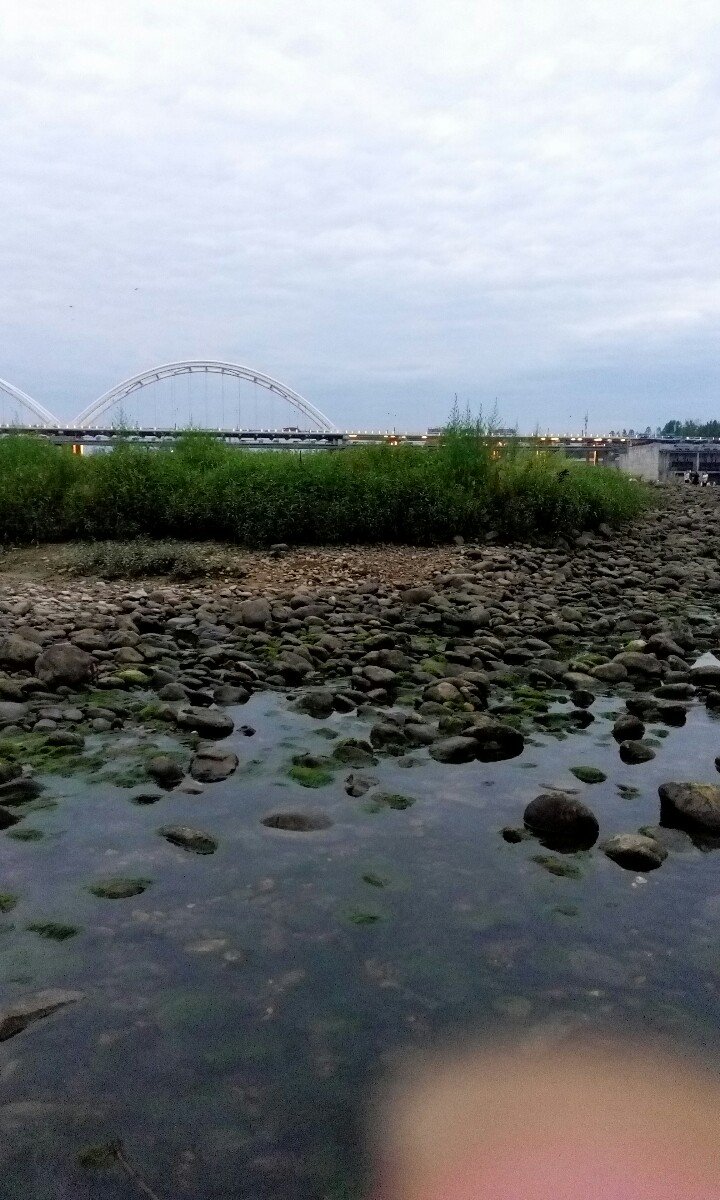 汉中市的市花是什么花_汉中汉一中吧_汉中市汉台区邮编