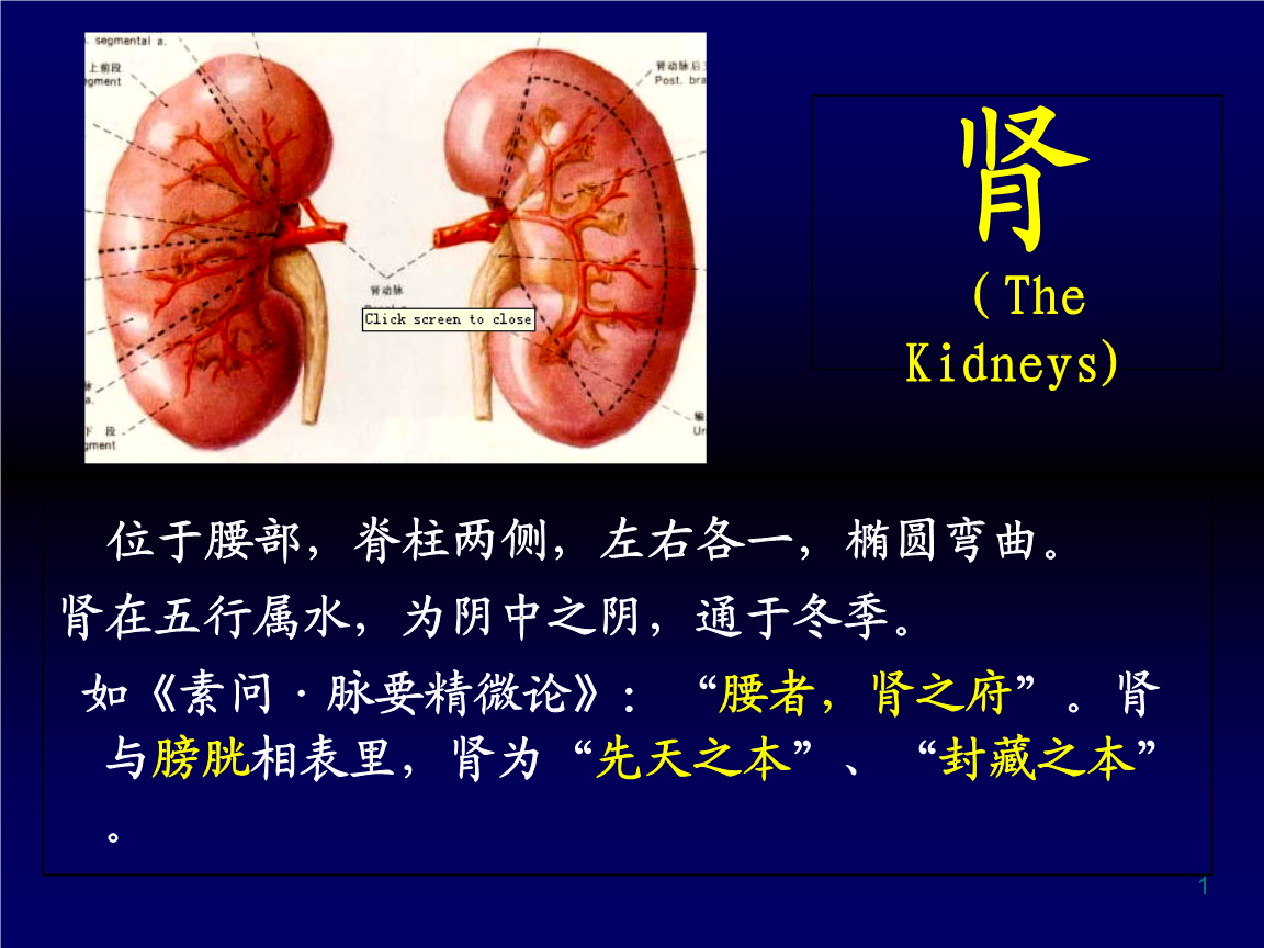 一品方脉中医真的假的_中医舌脉诊断仪_中医脉学