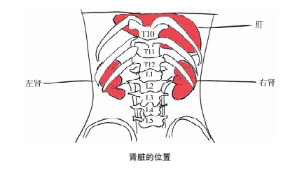 中医舌脉诊断仪_中医脉学_一品方脉中医真的假的