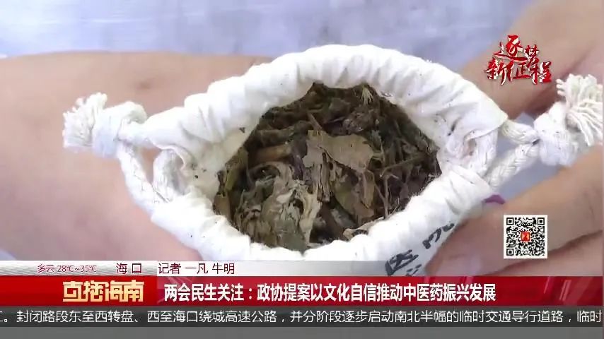 选择中医+pdf下载_如何选择中医_选择中医 董洪涛