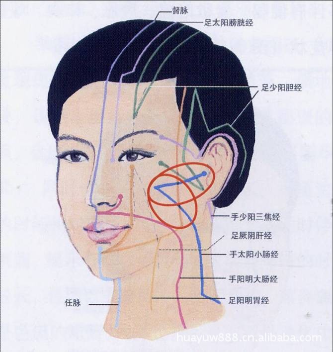 中医背部刮痧视频教程_男士中医刮痧视频_中医拔罐刮痧视频教程