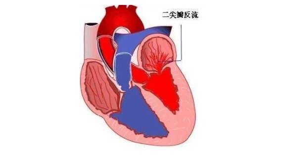 阳痿早泄病中医治疗秘方_中医治疗心脏瓣膜病_心脏供血不足中医治疗